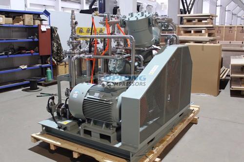 co2 diaphragm compressor piston for urea plant manufacturers