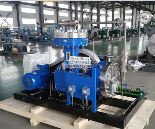 Compression capacity and efficiency detection method of diaphragm compressor