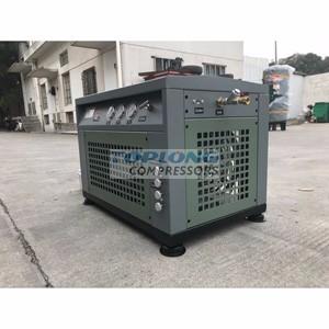 12m3 Home CNG Compressor for Car CNG Compressor Filling Station