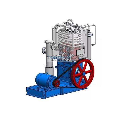 25 Bar C2h2 Compressor Acetylene Piston Compressor