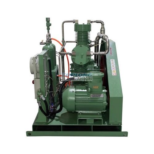 Various Specifications Factory Price Ionic Hydrogen Compressor