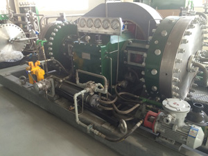 industrial oil free diaphragm carbon dioxide compressor extraction