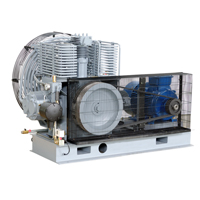 Compressore ad elio ad alta pressione per recupero gas palloncino ad elio 25Mpa